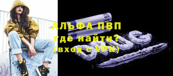 шишки Горнозаводск