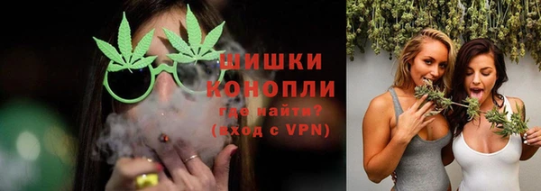 шишки Горнозаводск