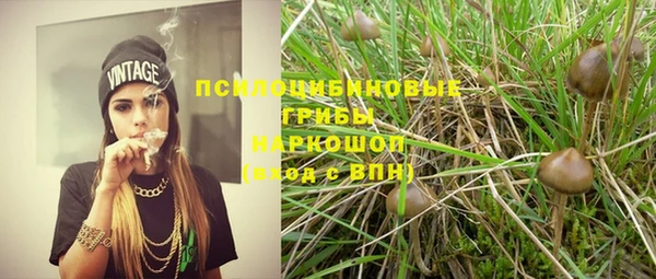шишки Горнозаводск