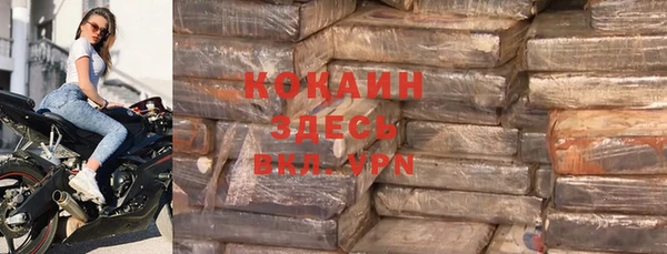 шишки Горнозаводск