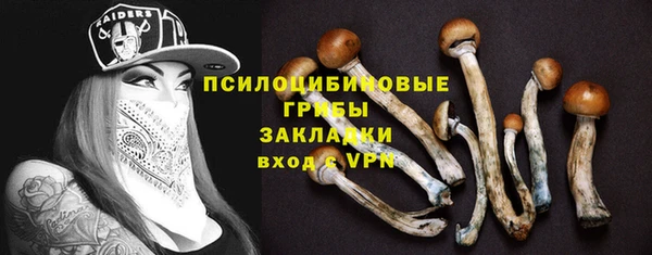 шишки Горнозаводск