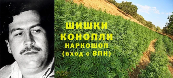 стафф Горно-Алтайск