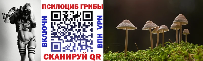 Купить закладки  Истра  Псилоцибиновые грибы Magic Shrooms 