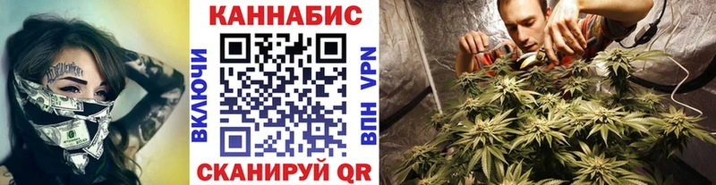 МАРИХУАНА AK-47  Купить закладки  Истра 